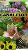 Canalflor Mayorista de flores y plantas Affiche