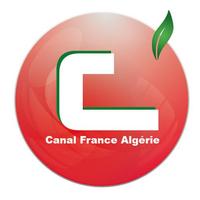 canal france algerie 海报