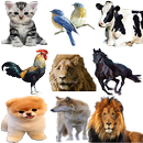 Vozes de animais APK