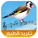 APK Goldfinch Bird Sounds