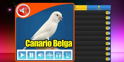 Canario Belga Campainha Puro اسکرین شاٹ 1