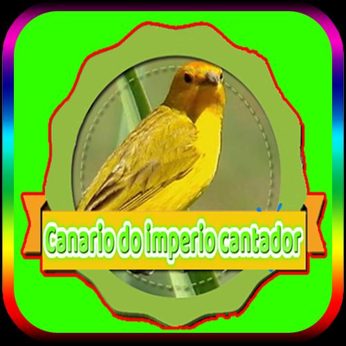 Baixar Canto De Tico Tico Rei Cinza Canario Do Imperio Cantador For Android Apk Download