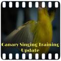 Canary Singing Training Update