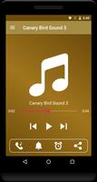 Canary Bird Sounds تصوير الشاشة 1