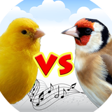 Canary vs goldfinch icon