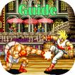 Guide for Fatal fury SPECIAL