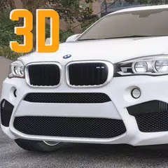 X6 Driving BMW Simulator