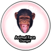Animal Face