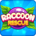 Raccoon rescue