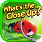 What's the Close Up? Zeichen