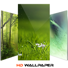 Green Soft Nature Wallpaper And Background-icoon