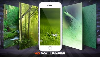 Green Soft Nature Wallpaper And Background poster