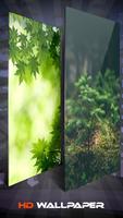 Green Soft Nature Wallpaper And Background ภาพหน้าจอ 1