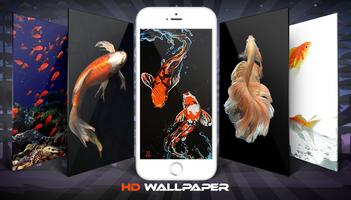 Koi Fish Wallpaper And Background الملصق