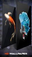 Koi Fish Wallpaper And Background تصوير الشاشة 3