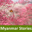 Myanmar Stories APK