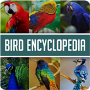 Animal Encyclopedia of Birds APK