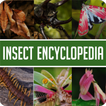 Enciclopedia animal de insecto