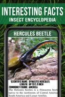 Animal Encyclopedia of Insects 海報