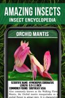 Animal Encyclopedia of Insects 截圖 1