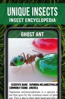 Animal Encyclopedia of Insects 截圖 3