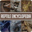 Animal Encyclopedia of Reptile