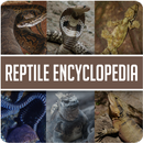 Animal Encyclopedia of Reptile APK