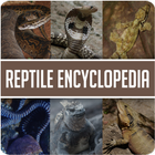 Animal Encyclopedia of Reptile أيقونة