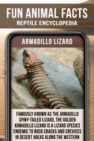 Animal Encyclopedia of Reptile Affiche