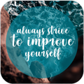 Self Improvement Quotes