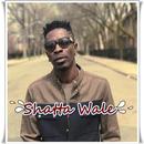 Songs Shatta Wale APK