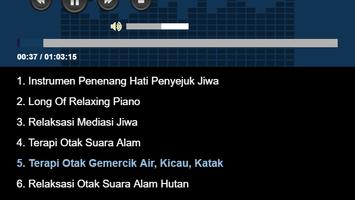 Musik Relaksasi Lengkap capture d'écran 3