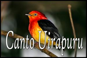 Canto Uirapuru capture d'écran 1