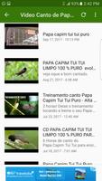 Canto de Papa Capim Tui Tui Puro MP3 capture d'écran 3