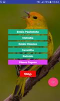 Canário Da Terra Verdadeiro تصوير الشاشة 2