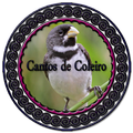 Canto de Coleiros