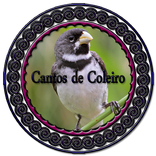 Canto de Coleiros