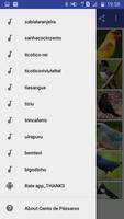Canto de Pássaros offline syot layar 2