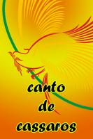 100+ Canto De Passaros-poster