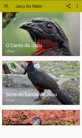 O Canto do Jacu تصوير الشاشة 1