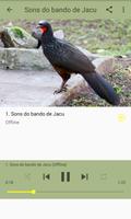 O Canto do Jacu تصوير الشاشة 2
