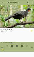 O Canto do Jacu تصوير الشاشة 3