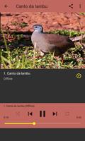 Canto da lambu do Sertão تصوير الشاشة 3