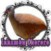 Canto de Lambu APK