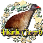 Canto do Inhambu Chororó أيقونة