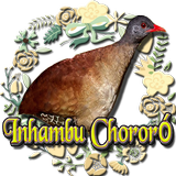 Canto do Inhambu Chororó icône