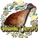 Canto do Inhambu Chororó APK