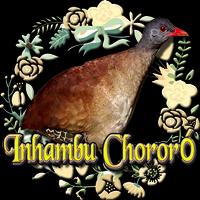 Canto do Inhambu Chororó penulis hantaran