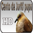 Canto Pomba Juriti-Pupu HD