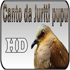 Canto Pomba Juriti-Pupu HD أيقونة